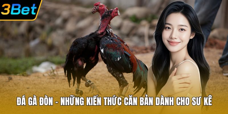 Đá Gà Đòn