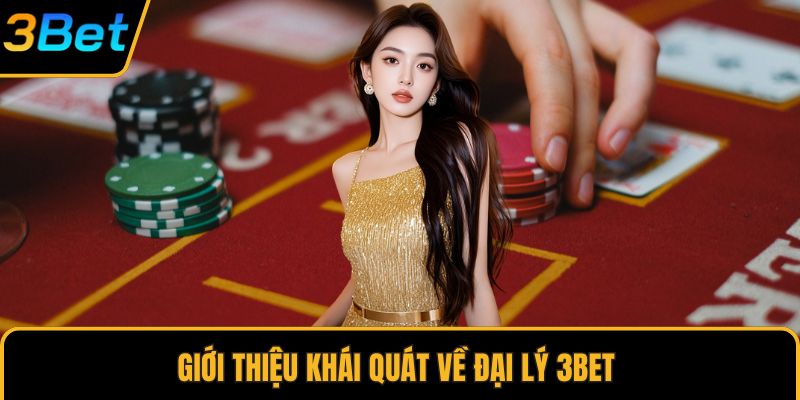 Giới thiệu khái quát về đại lý 3Bet