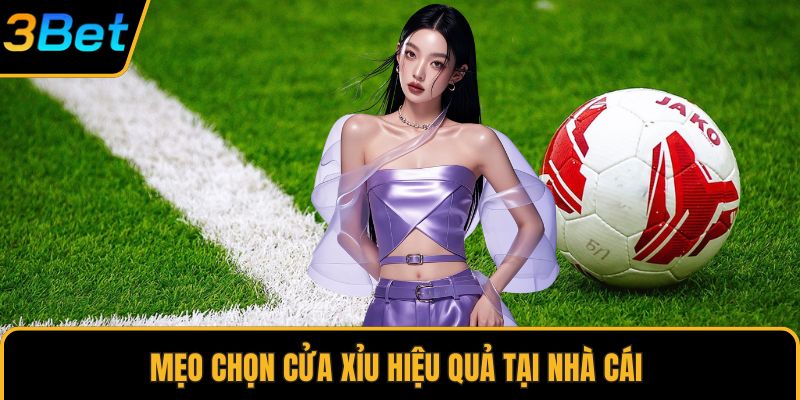 Mẹo chọn cửa xỉu hiệu quả tại nhà cái