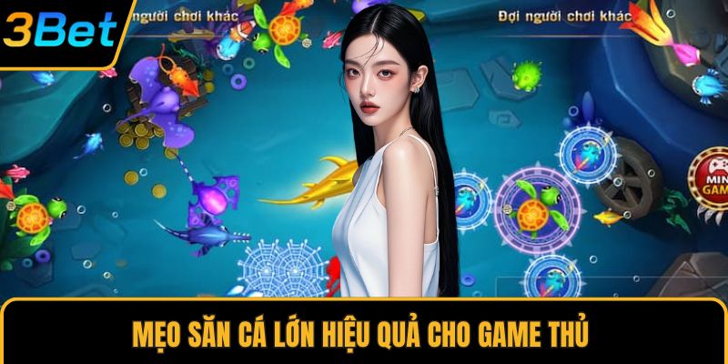Mẹo săn cá lớn hiệu quả cho game thủ