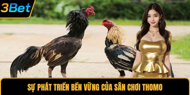 Sự phát triển bền vững của sân chơi Thomo