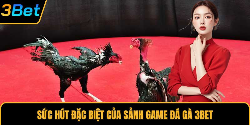 Sức hút đặc biệt của sảnh game đá gà 3Bet